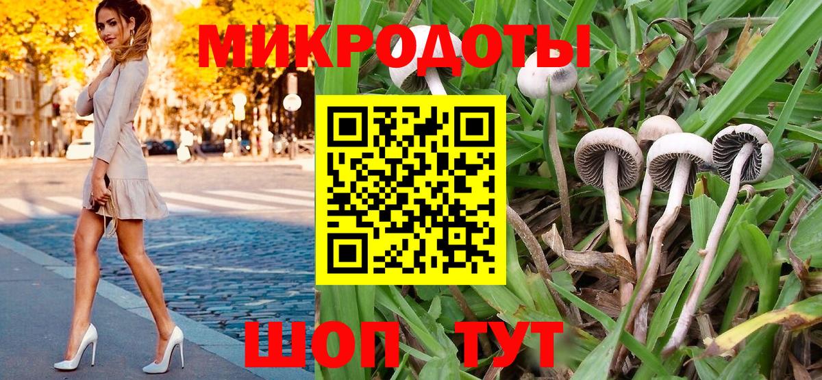 Псилоцибиновые грибы Psilocybine cubensis  Галлюциногенные грибы Psilocybe  Вход с VPN  Обь 